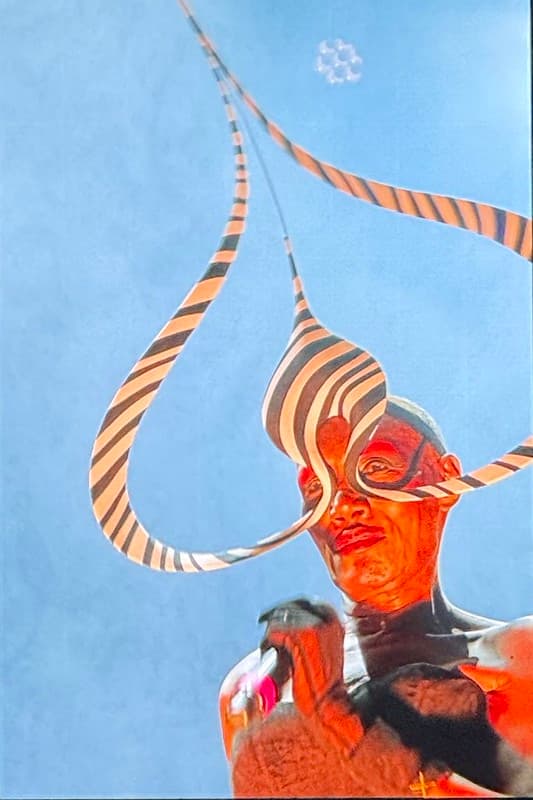Grace Jones close up of her face with a zebra striped headwear in the shape of an upside down heart, it is about 1.5 metres tall