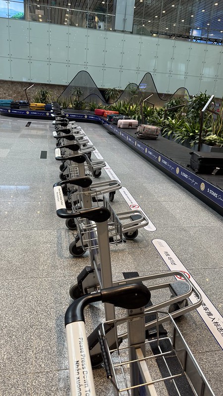 A line of baggage trolleys lined up next to the baggage claim belt