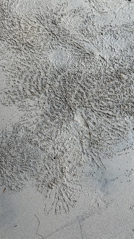 Tiny balls of sand in radiated patterns on the beach