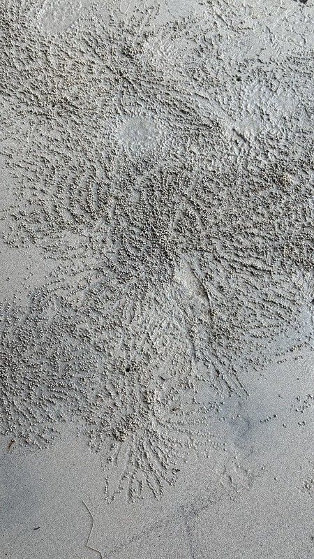 Tiny balls of sand in radiated patterns on the beach