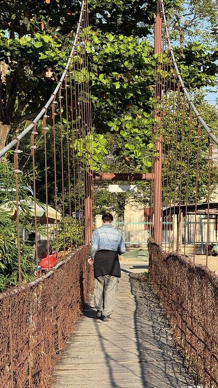 Susan walking across the hanging bridge